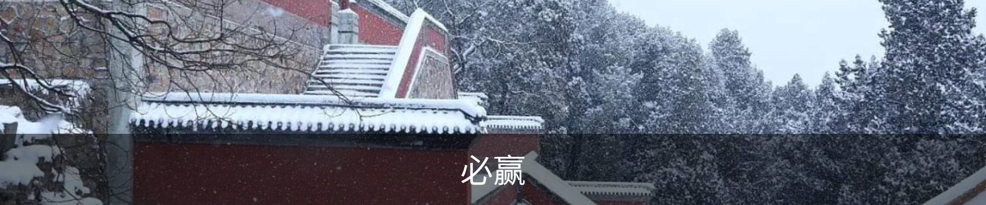 必赢