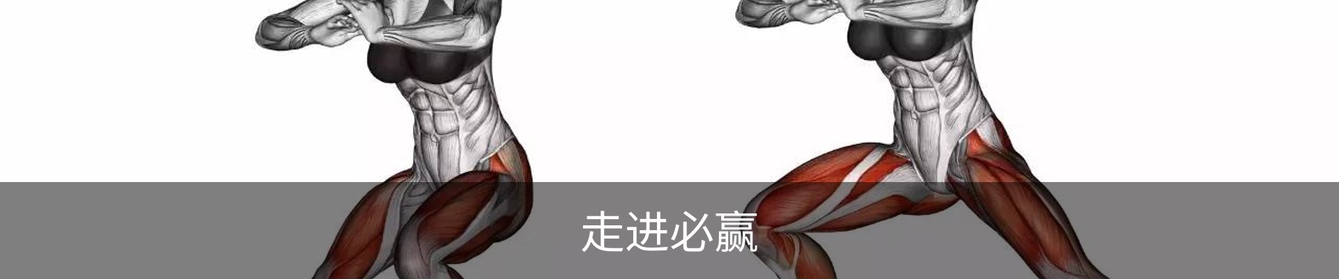 走进必赢